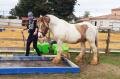 Valentino, 3 ans