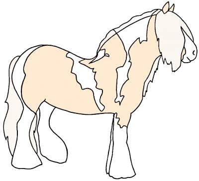 Palomino pearl