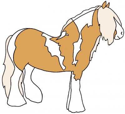 Palomino