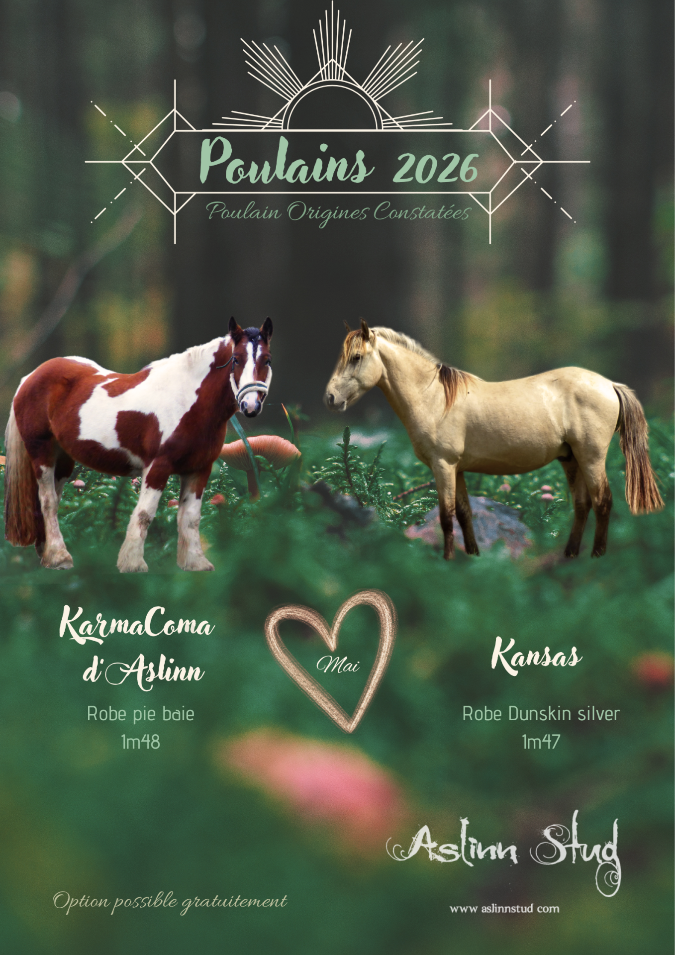 2026 karmacoma d aslinn