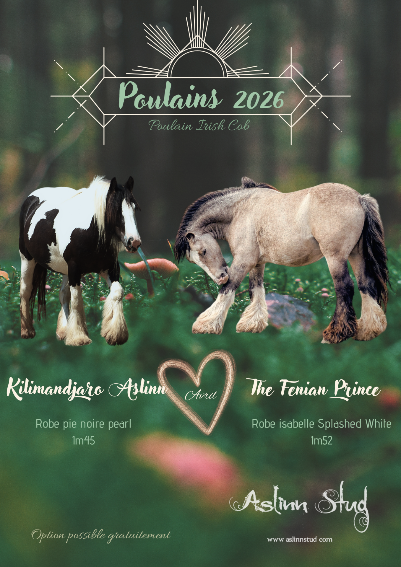 2026 kilimandjaro aslinn