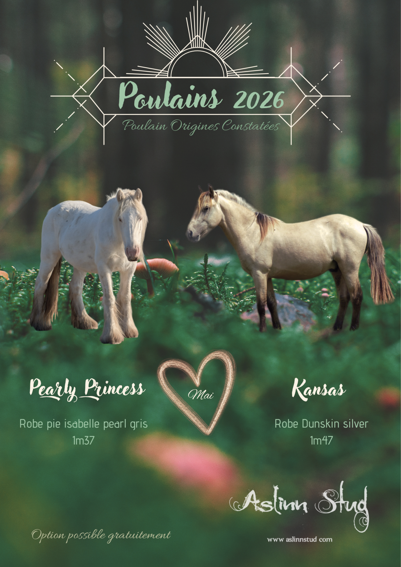 2026 pearly princess