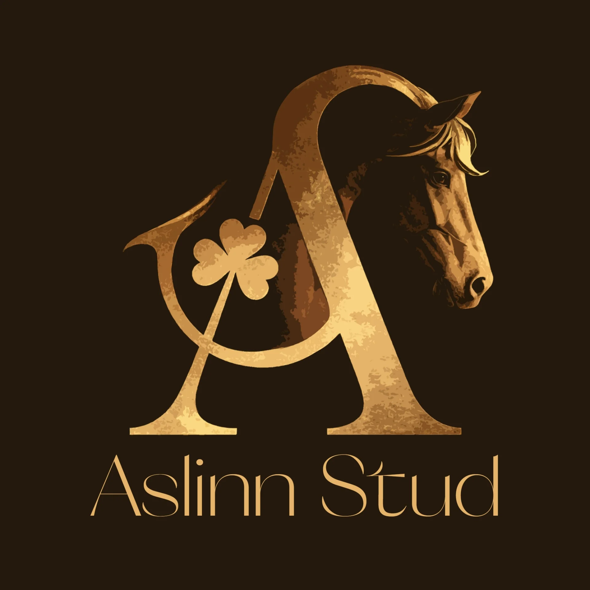 Aslinn Stud
